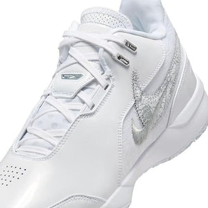 NIKE ZOOM LEBRON NXXT GEN AMPD