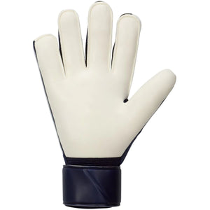 NIKE NK GK MATCH - HO23