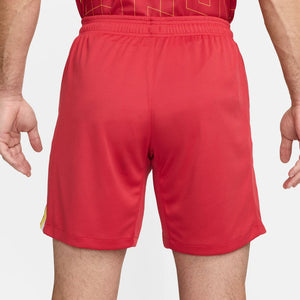 NIKE LFC M NK DF SHORT STAD HM