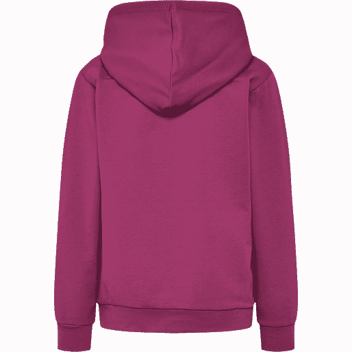 HUMMEL HMLGAIL HOODIE