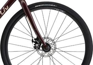 LIV ALIGHT 3 DD DISC M FIGUIER
